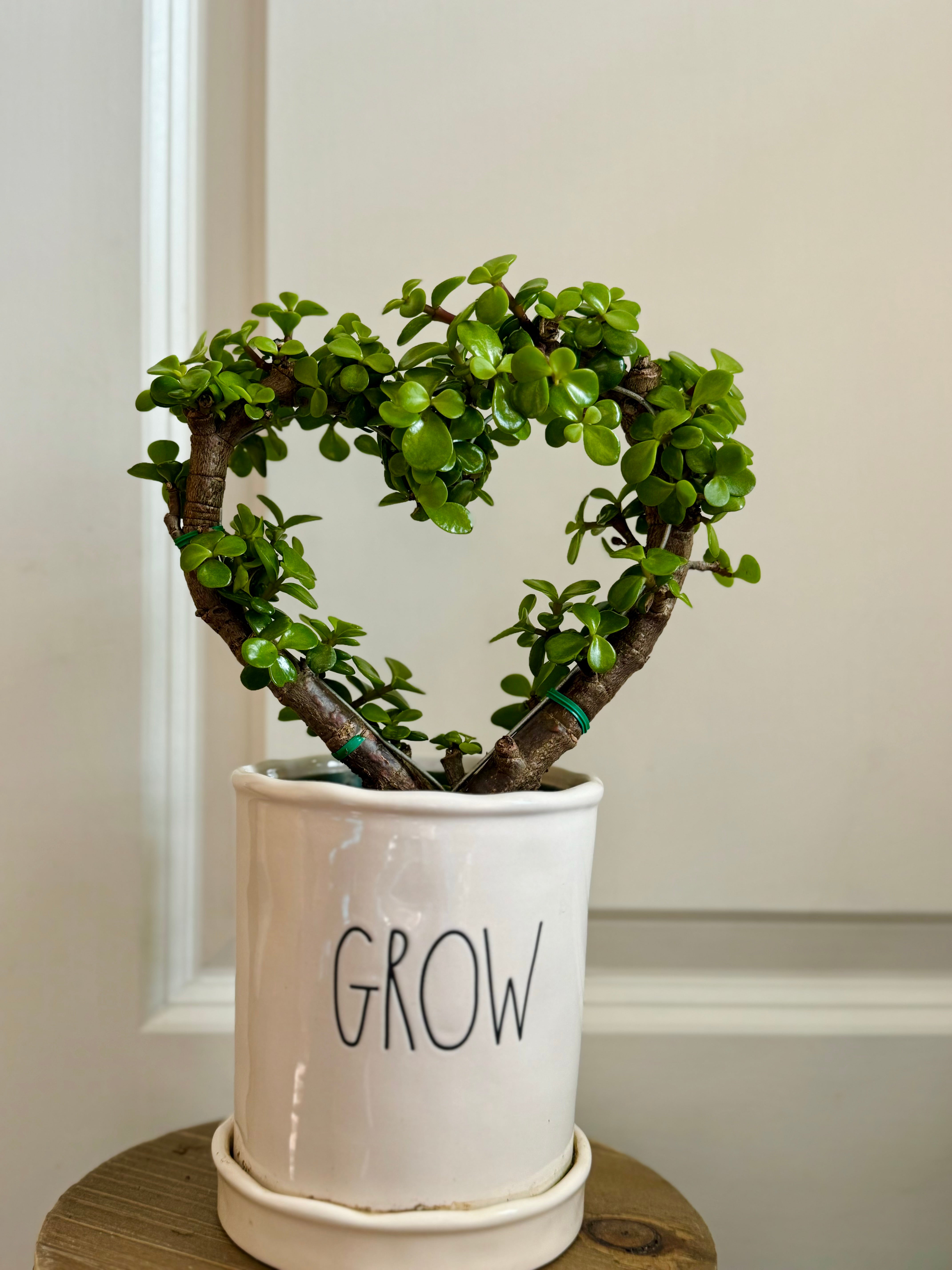 08DEA0D0-C445-4E83-ABED-