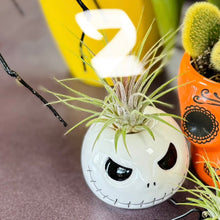 Load image into Gallery viewer, Halloween collection
