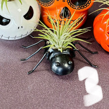 Load image into Gallery viewer, Halloween collection
