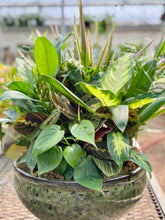 Load image into Gallery viewer, Assorted Greenery Arrangement
