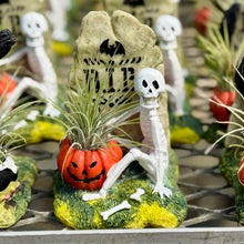 Load image into Gallery viewer, Halloween collection
