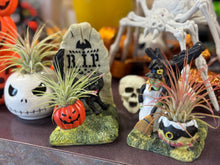 Load image into Gallery viewer, Halloween collection
