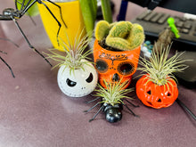 Load image into Gallery viewer, Halloween collection
