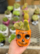 Load image into Gallery viewer, Halloween collection

