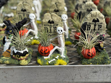Load image into Gallery viewer, Halloween collection
