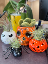 Load image into Gallery viewer, Halloween collection
