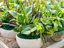 Load image into Gallery viewer, Assorted Greenery Arrangement
