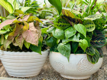 Load image into Gallery viewer, Assorted Greenery Arrangement
