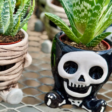 Load image into Gallery viewer, Halloween collection
