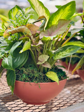 Load image into Gallery viewer, Assorted Greenery Arrangement
