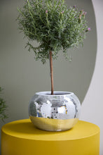Load image into Gallery viewer, Disco Time planter
